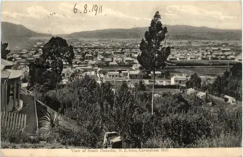 South Dunedin from Caversham Hill - New Zealand -472982