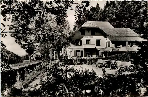 Häg über Zell, Wiesental, Gasthaus Zum Forsthof -361504