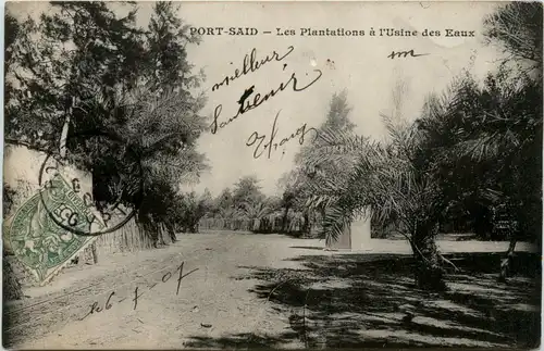 Port Said - Les Plantations a Usine des Eaux -448798