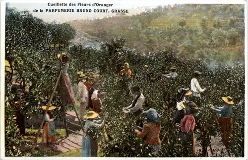 Grasse - Parfumerie Bruno Court -473888