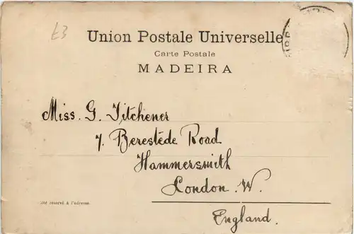 Madeira - Rede -474778