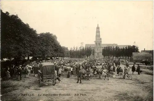 Bayeux - Le Marche aux Bestiaux -474918