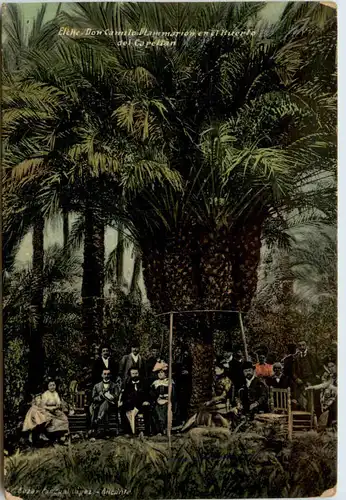 Alicante - Bazar Pascual -474958