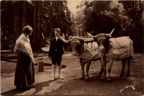 Le Terroir Pyreneen -473984