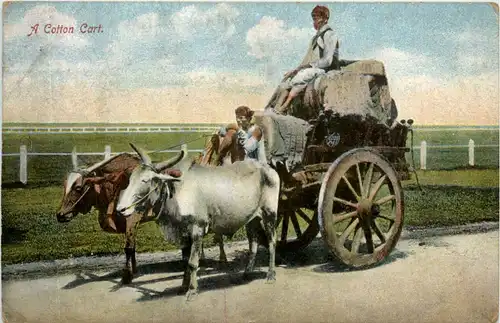 A Cotton Cart -474468