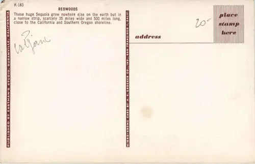 Redwoods California -436860