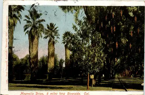 Magnolia Drive - California -436960