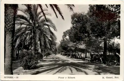 Pinar y Ribera -475458