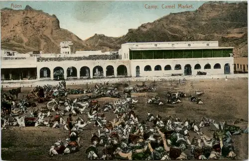 Aden - Camp - Camel MArket -475314