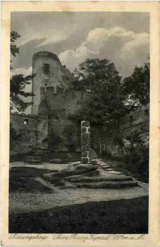 Burg-Ruine Kynast -473270