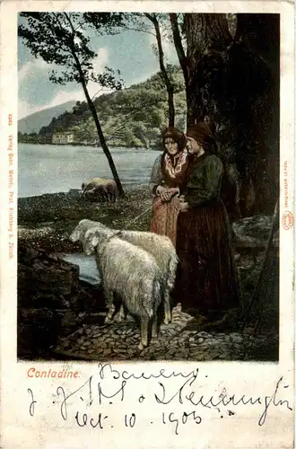 Contadine Ticino -476078