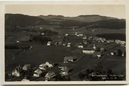 Hinterzarten -451538