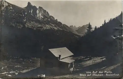 Auf der Platte - Blcik auf Staubern Roslenfirst -451678