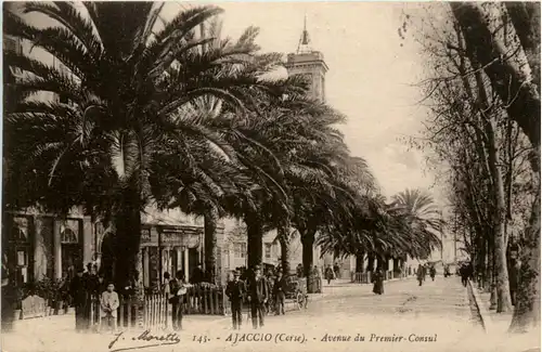 Corse - Ajaccio - Avenue du Premier Consul -474066