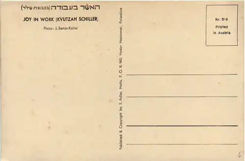 Israel - Joy in Work - Kvutzah Schiller -476898