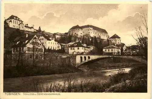 Tübingen - Schloss und Derendingerhaus -438732