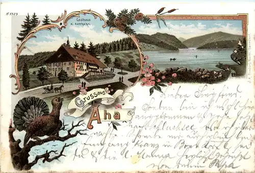 Gruss aus Aha - Litho - Schluchsee -477058