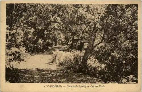 Ain-Draham - Chemin du Meridj -477258