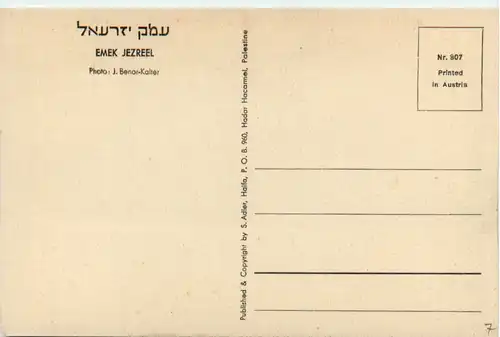 Israel - Emek Jezreel -476874