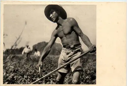 Israel - pupil at Mkveh -476894