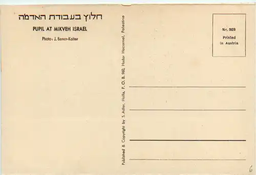 Israel - pupil at Mkveh -476894