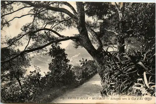 Monaco - Echappee vers le Cap d Ail -476544