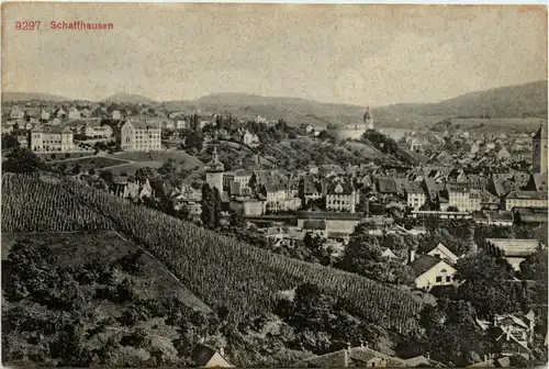 Schaffhausen -439506