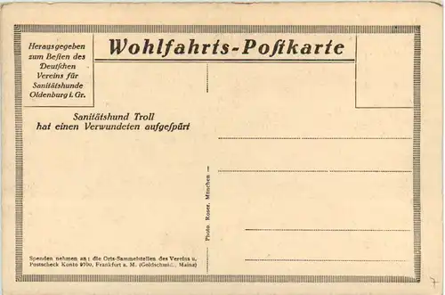 1. Weltkrieg - Sanitätshund Troll -476816