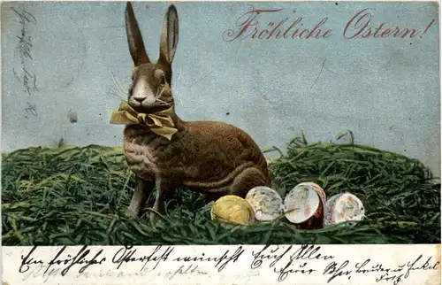 Ostern - Hase -477334