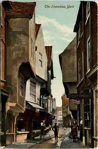 York - The Shambles -475226