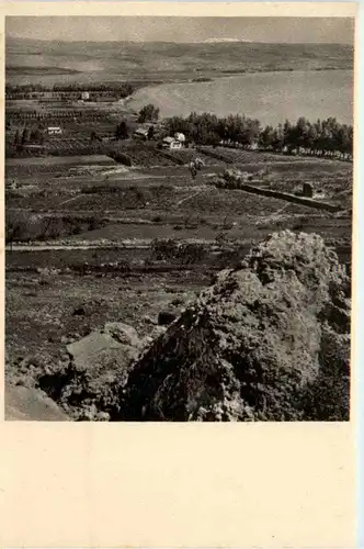 Israel - Orange Groves at Migdal -476870