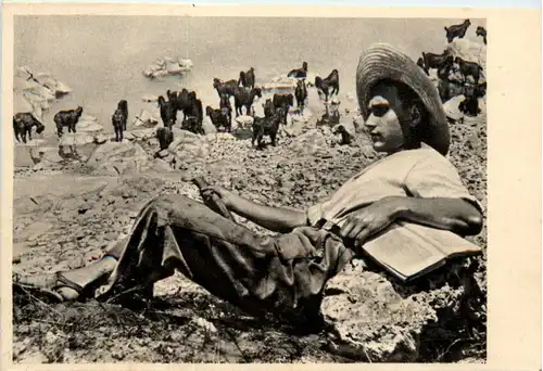 Israel - Jewish Shepherd in Galilee -476890