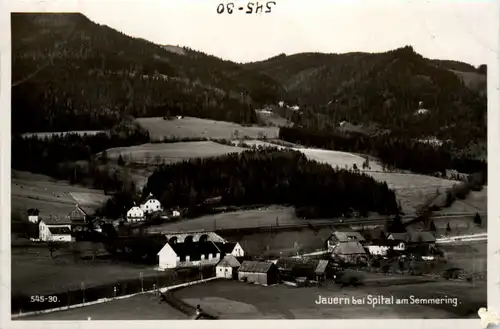 Jauern bei Spital am Semmering -375282