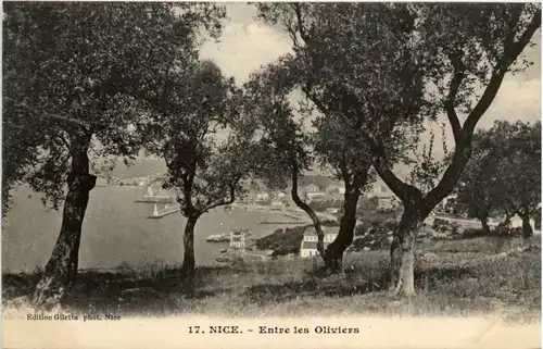 Nice - Entre les Oliviers -477390