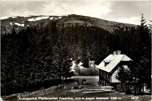 Alpengasthof Pfaffensattel gegen Stuhleck, Steinhaus -375256