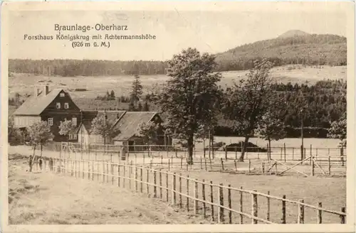 Braunlage-Oberharz, Forsthaus Königskrug -375184