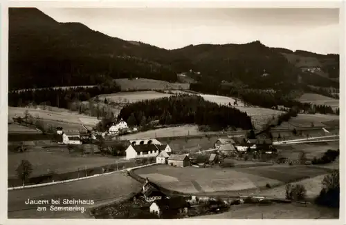 Jauern bei Steinhaus am Semmering -375278