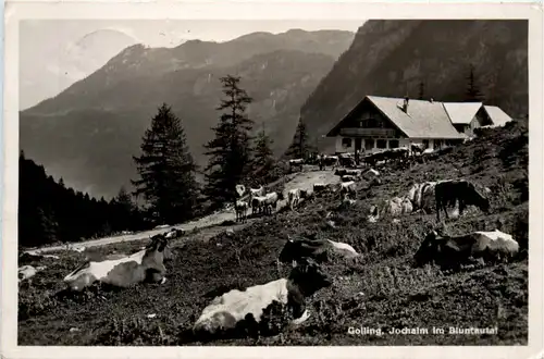 Golling, Jochalm im Bluntautal -376004