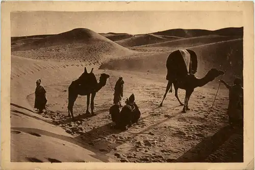 Touggourt - Algerie -442282