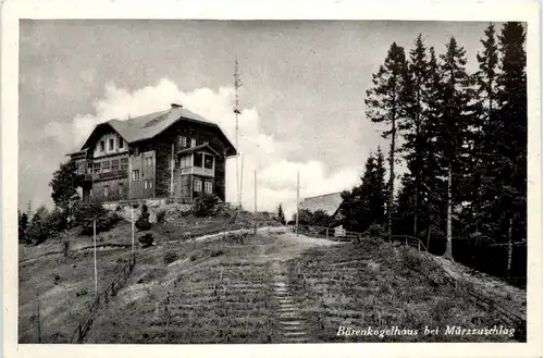 Bärenkogelhaus bei Mürzzuschlag -375314