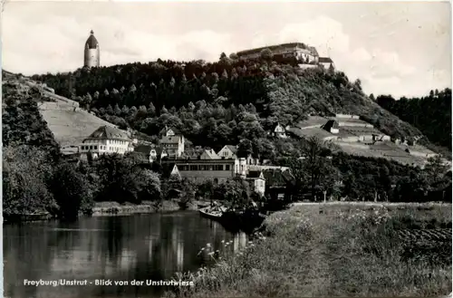 Freyburg/Unstrut, Blick von der Unstrutwiese -377696