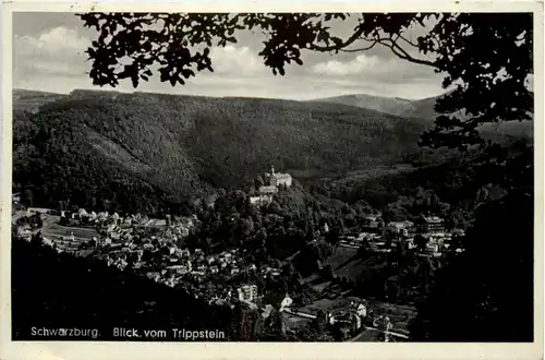 Schwarzburg, Blick vom Trippstein -377608