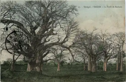 Senegal - Dakar -443282