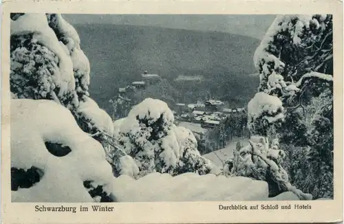 Schwarzburg, im Winter, Duchblick auf Schloss und Hotels -377522