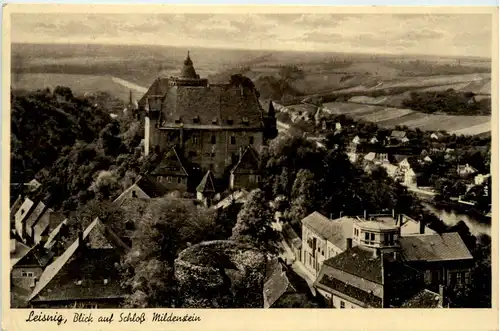 Leisnig, Blick auf Schloss Mildenstein -378226