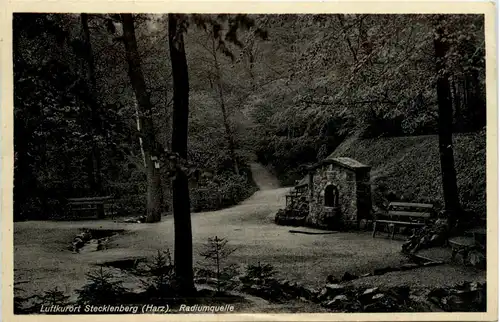Kurort Stecklenberg Harz, Radiumquelle -377906