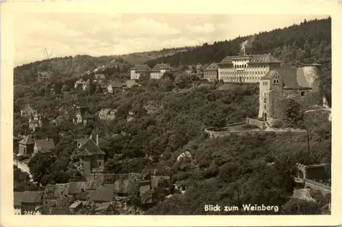 Solbad Frankenhausen/kyffh., Blick zum Weinberg -377922
