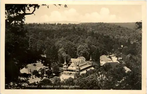 Alexisbad, Waldblick vom Birkenhäuschen -378196