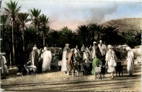 El-Ouldja - Souk et Palmeraia -362110