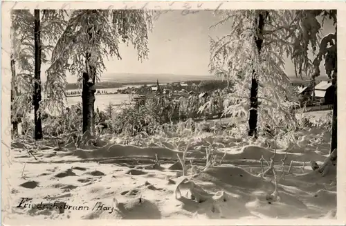 Friedrichsbrunn Harz -378048